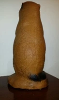 Cane prateria