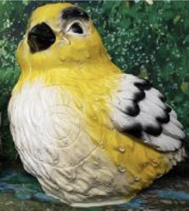 Passero