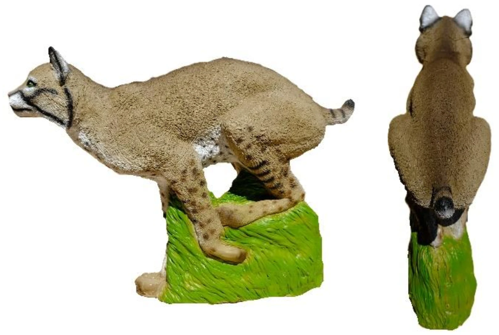 Bobcat