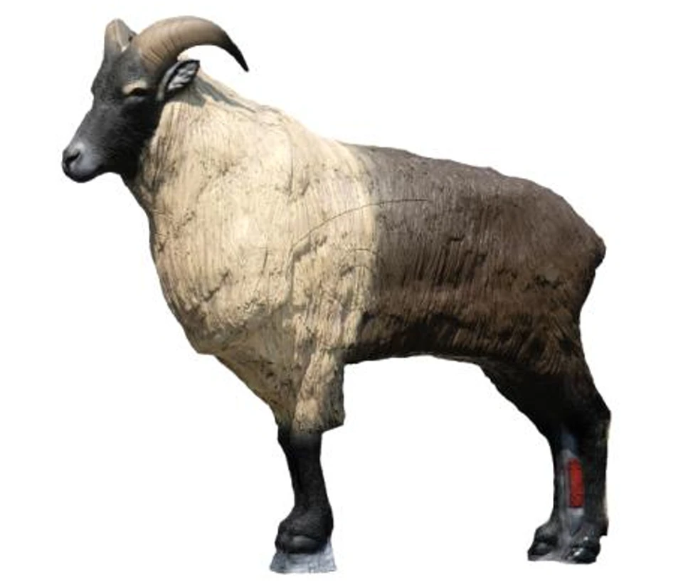 Tahr dell'Himalaya