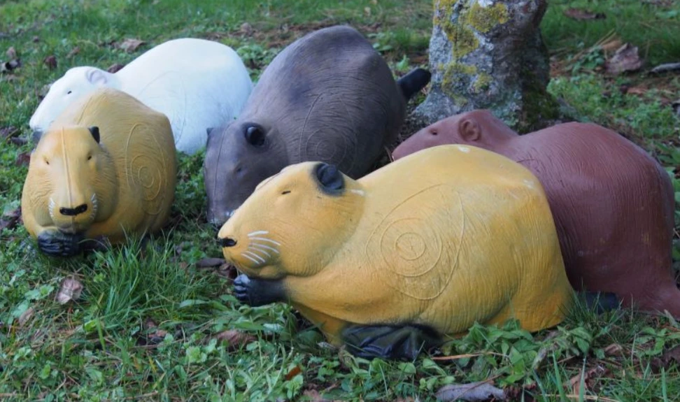 Nutria 