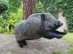 Grande Cinghiale 