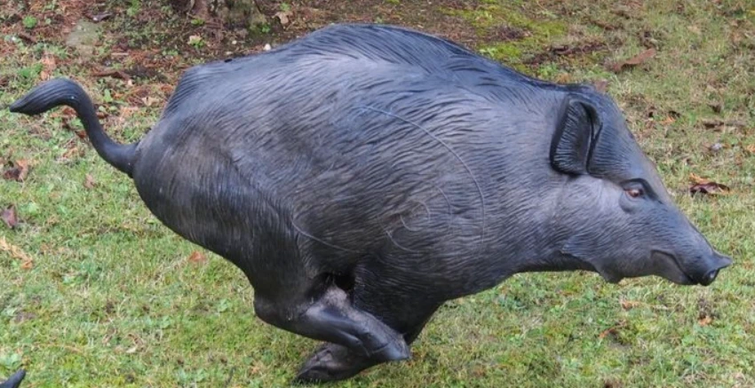 Cinghiale in Corsa 