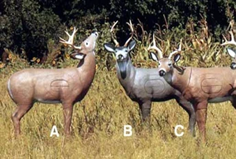 Cervo Rut W/T, Cervo Sneak Whitetail, Cervo mulo