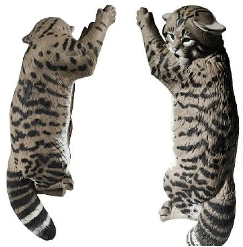 Gatto selvatico che si arrampica