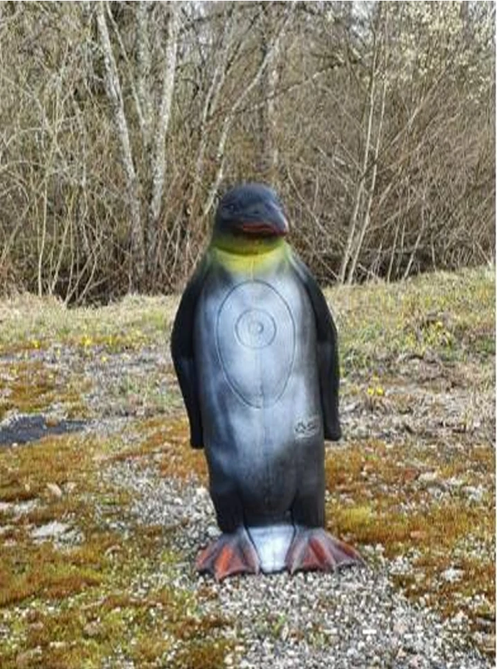 Pinguino