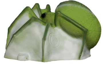 Ragno. Ragno Verde 