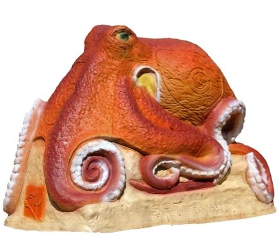 Polipo (octopus)